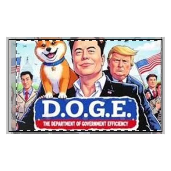 Department of Government Efficiency (DOGE) 3x5 Double-Sided Flag